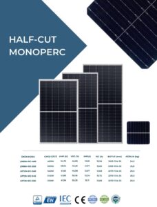 WhatsApp Image 2024-02-20 at 11.08.53 (1)