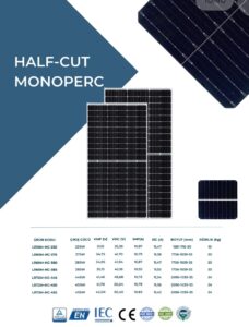 WhatsApp Image 2024-02-20 at 11.08.53 (2)