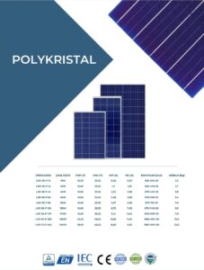 WhatsApp Image 2024-02-20 at 11.08.54